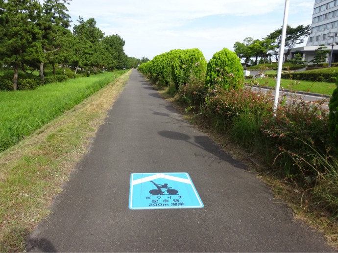 biwaichi cycle