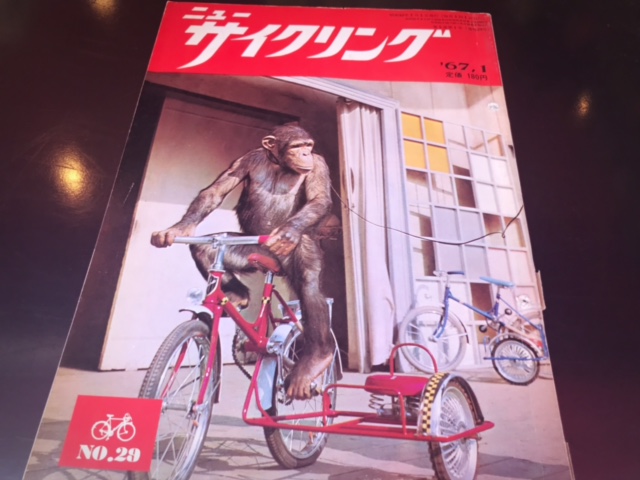 monkey magazine