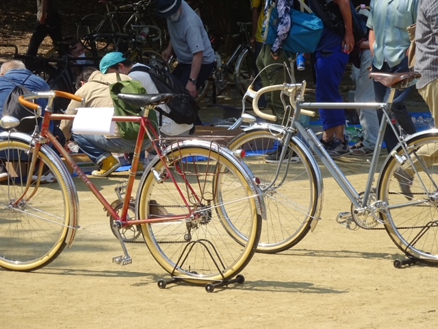 vintage cycle
